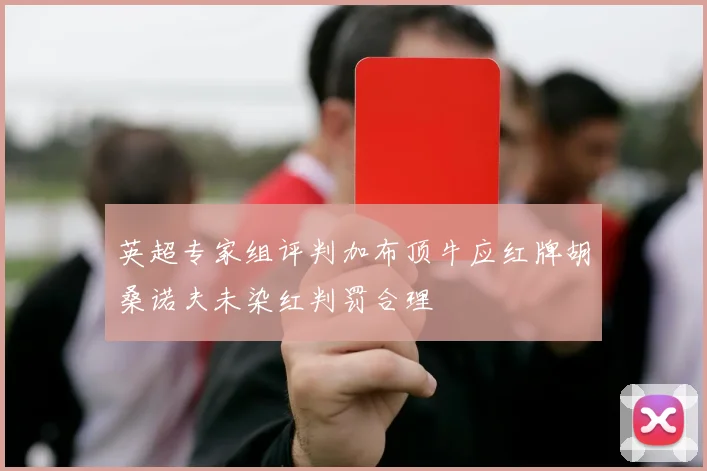 英超专家组评判加布顶牛应红牌胡桑诺夫未染红判罚合理